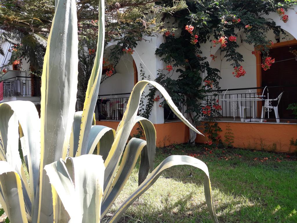 Punta Studios Dimitris מראה חיצוני תמונה