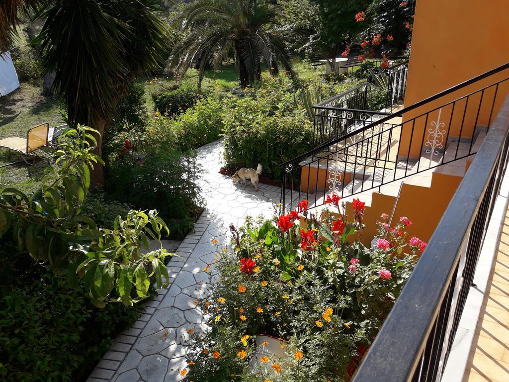 Punta Studios Dimitris מראה חיצוני תמונה