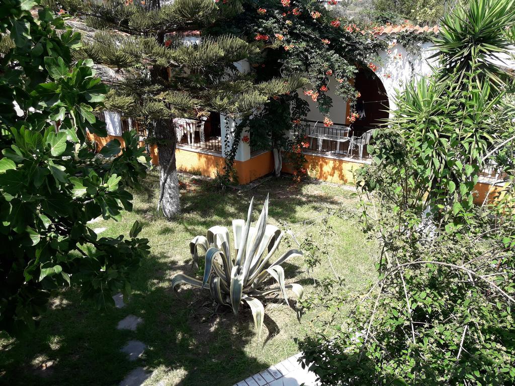 Punta Studios Dimitris מראה חיצוני תמונה