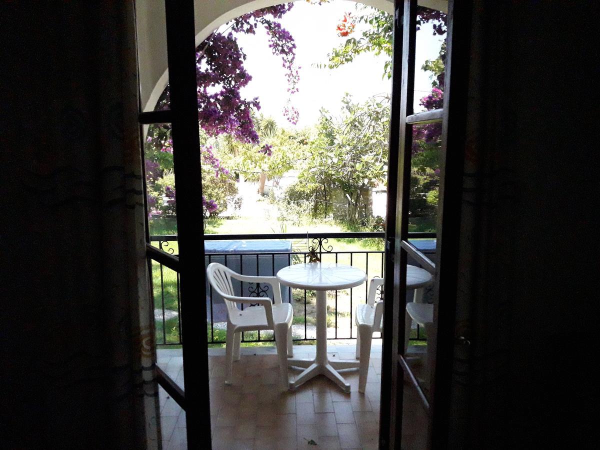 Punta Studios Dimitris מראה חיצוני תמונה