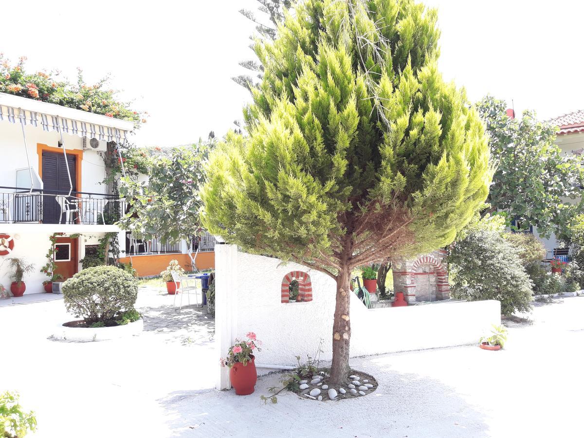 Punta Studios Dimitris מראה חיצוני תמונה