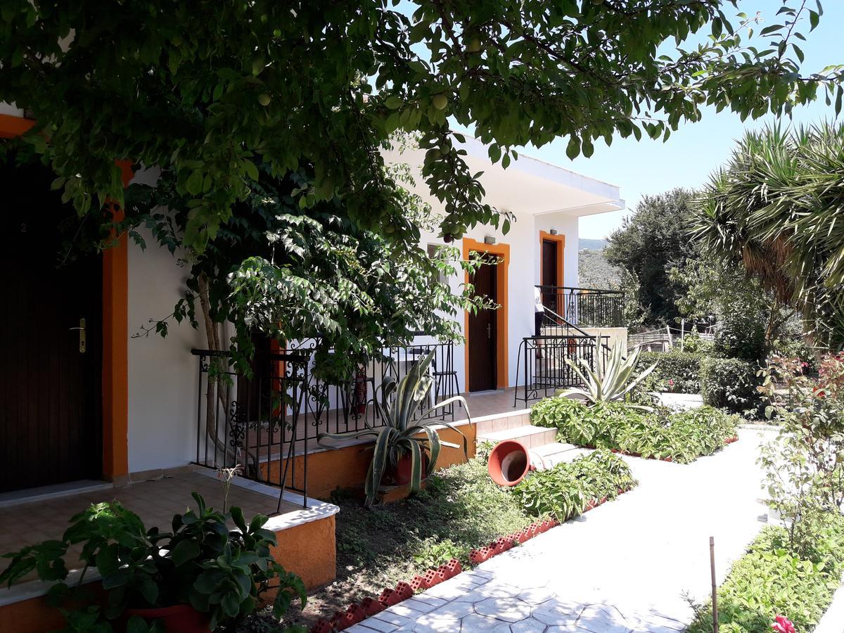 Punta Studios Dimitris מראה חיצוני תמונה