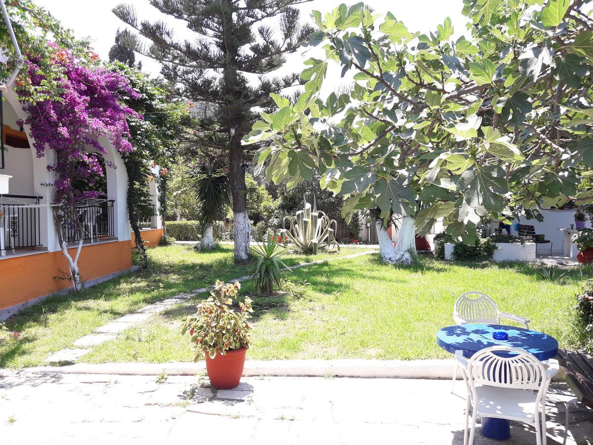 Punta Studios Dimitris מראה חיצוני תמונה