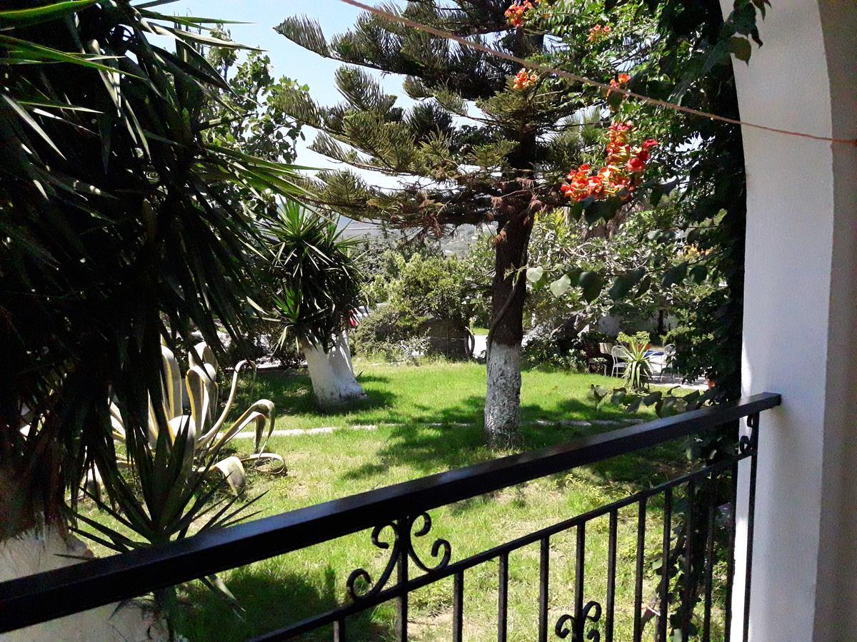 Punta Studios Dimitris מראה חיצוני תמונה