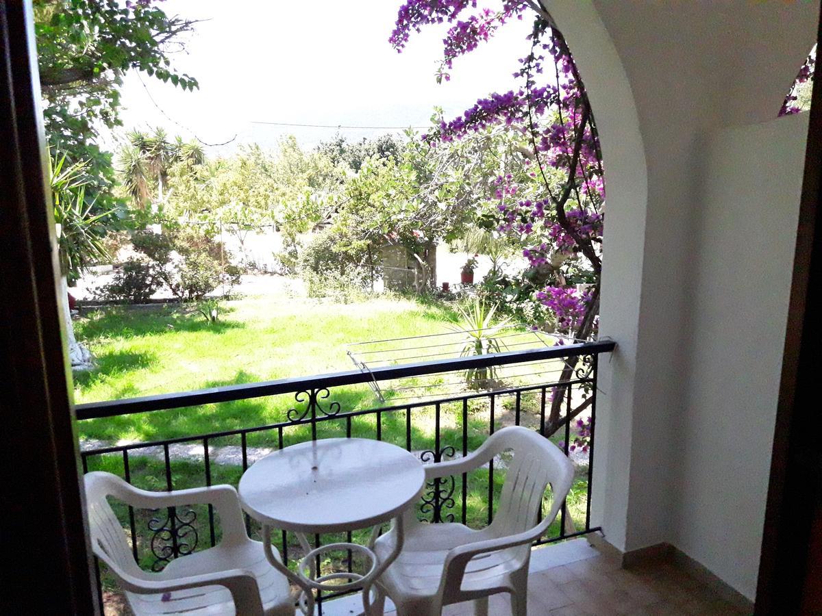 Punta Studios Dimitris מראה חיצוני תמונה