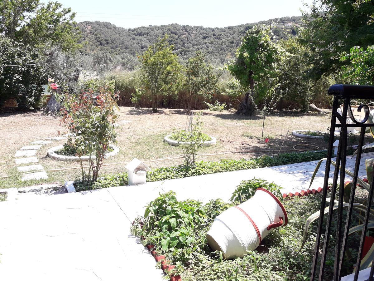 Punta Studios Dimitris מראה חיצוני תמונה