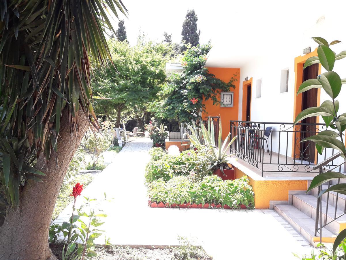 Punta Studios Dimitris מראה חיצוני תמונה